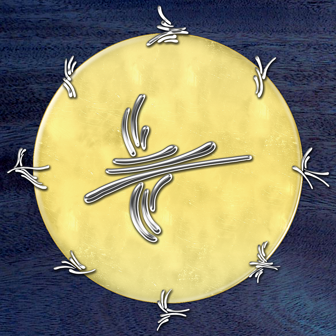 Moon-Circle_zpsfed3310e.png