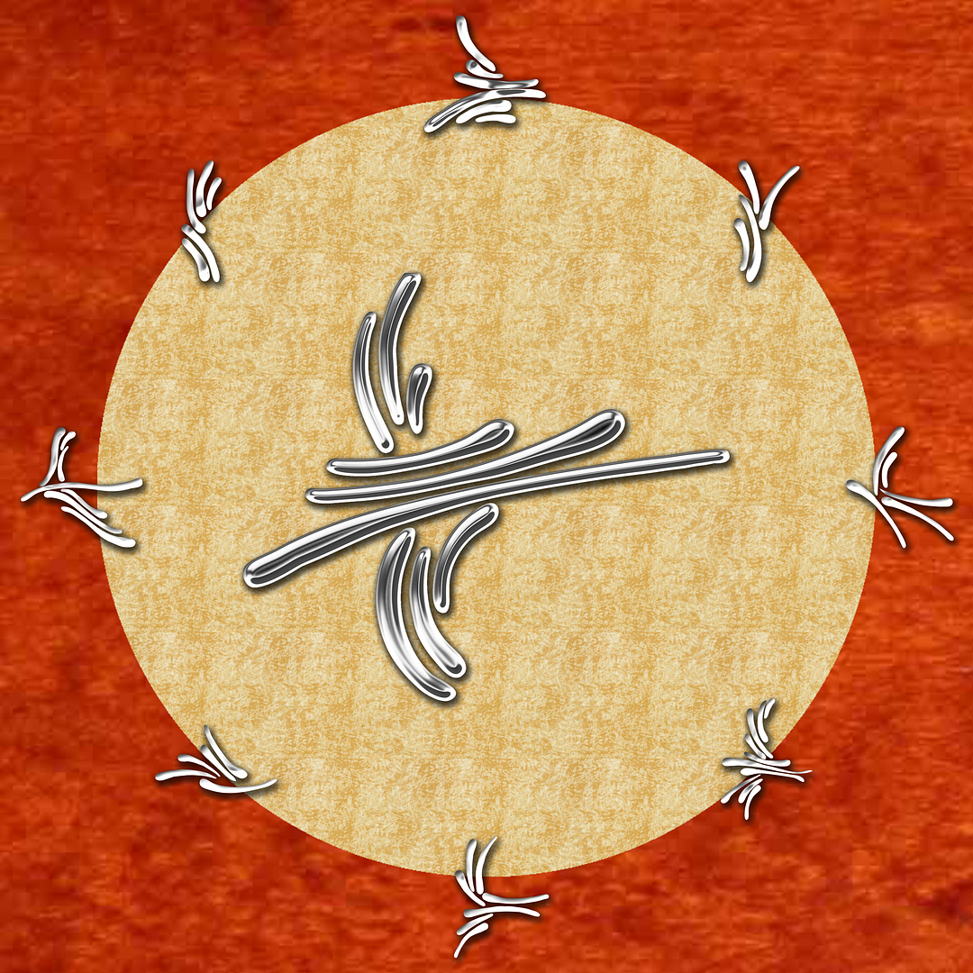 PRS-Birds-Brush-Inlay-Circle_zpsc5b40bcd.png