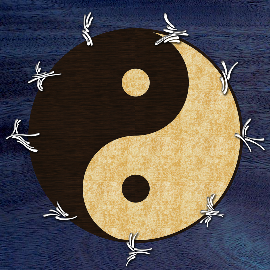PRS-Birds-Yin-Yang-_zps633cae6b.png