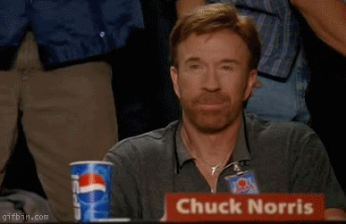  photo chuck-norris-approves.gif