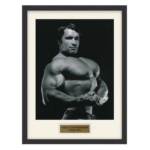Arnold Schwarzenegger Arnold Schwarzenegger
