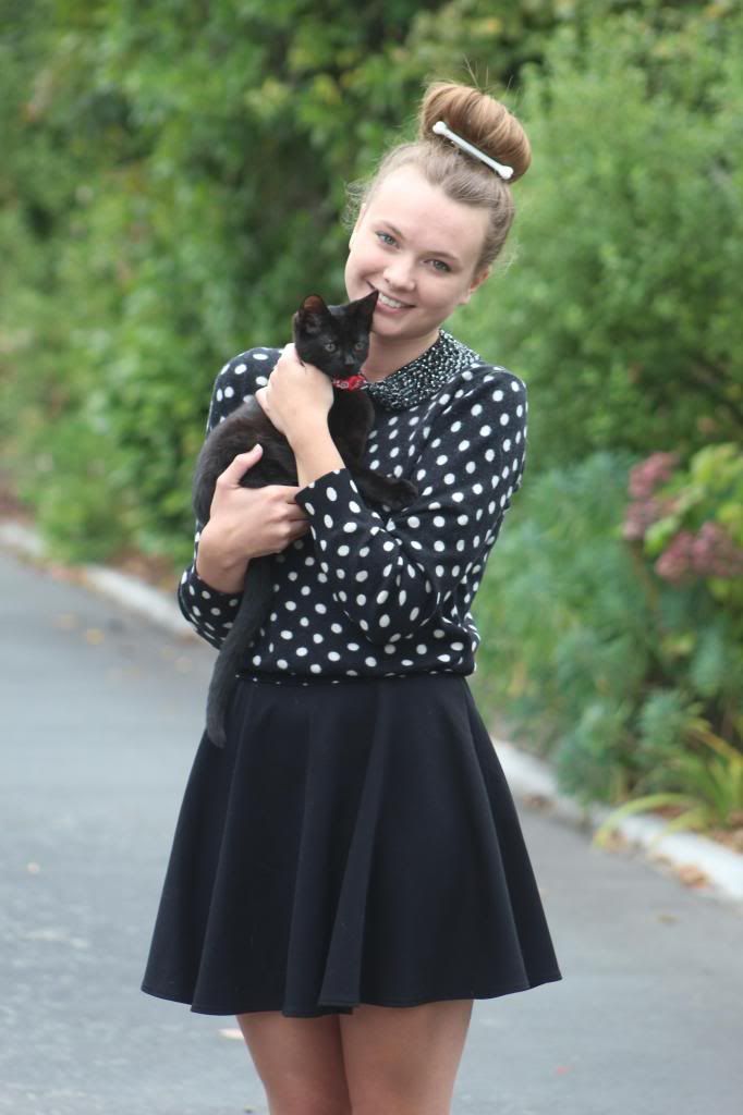 Cat Rescue Christchurch, Foster Kitten