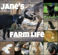 Jane's Farm Life