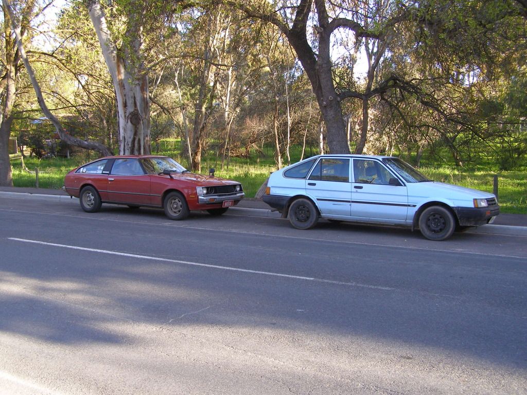 P1010074.jpg