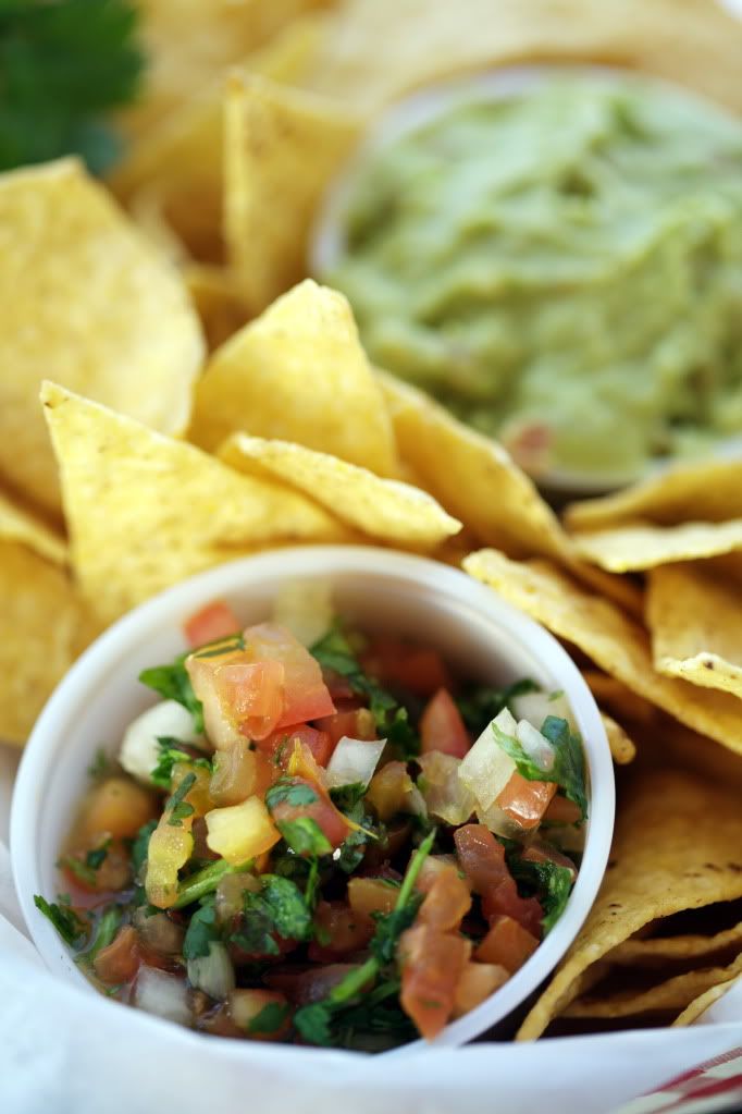 Chips Salsa Guacamole