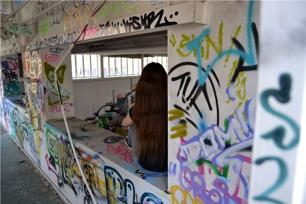 Bild