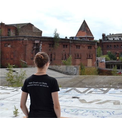 Bild