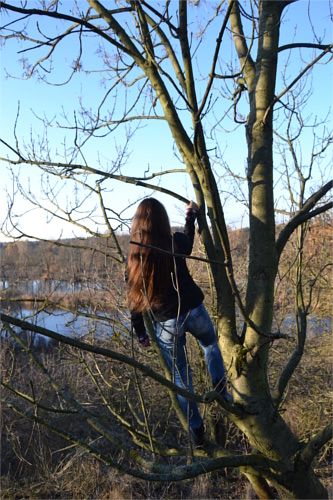 Bild