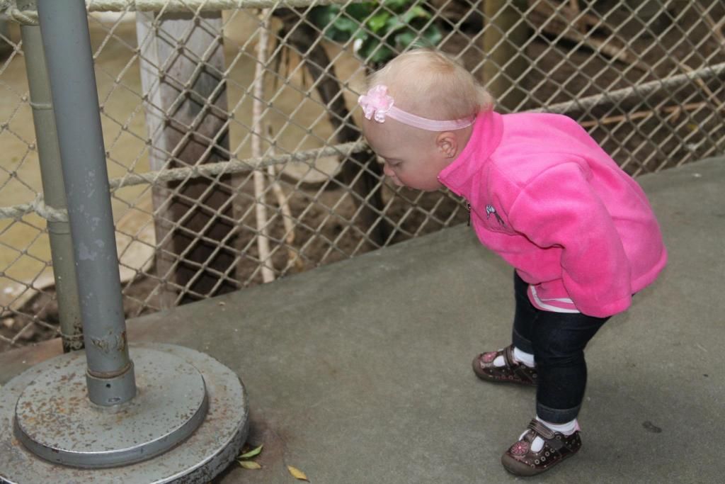 And the most exciting thing at the zoo?? A leaf.. yup! She was obsessed!!!