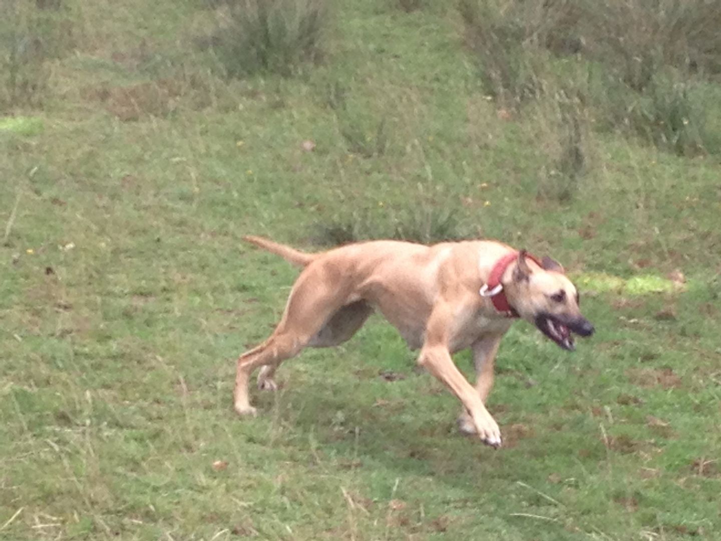 35D1F32E-1E76-4856-9F68-8AF318E83A9E_zps