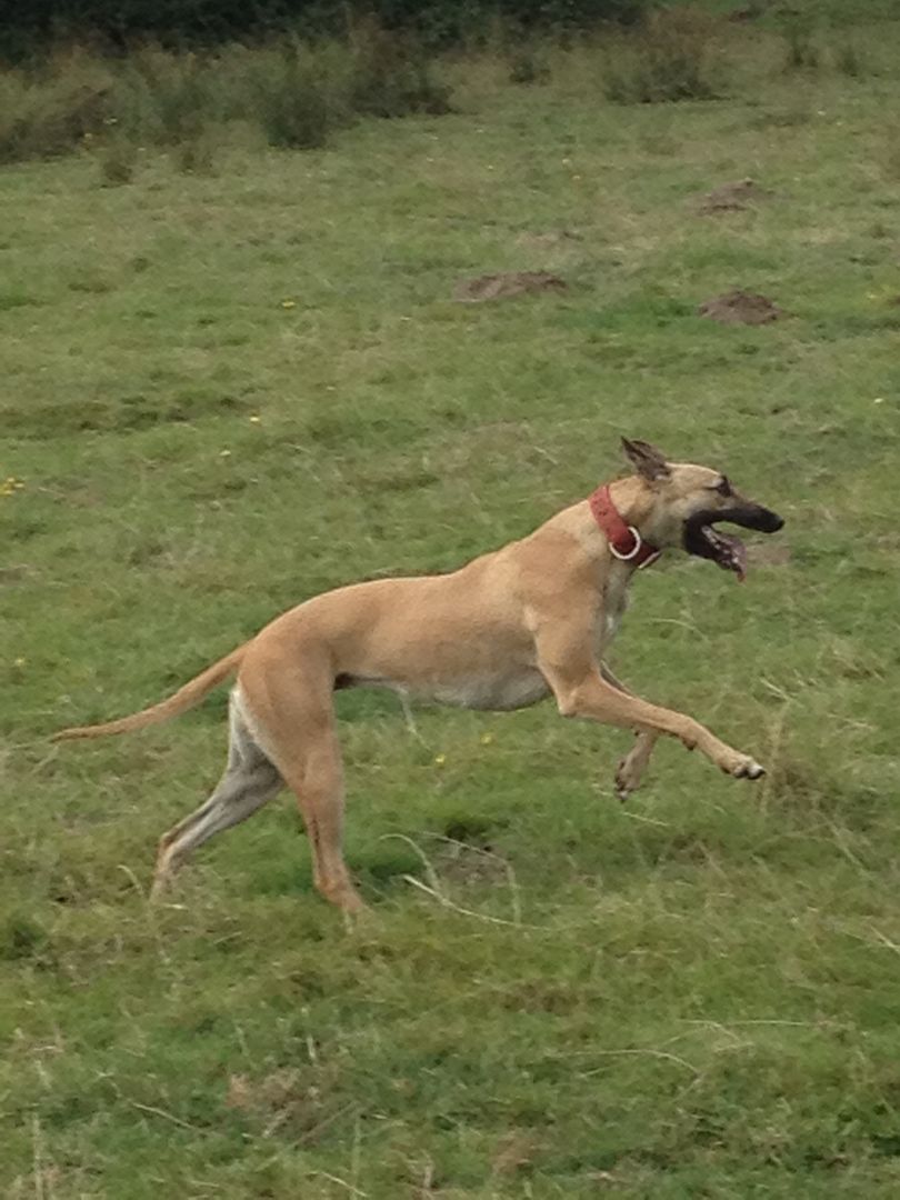 6A482817-E21E-4E37-A339-5439840826A4_zps