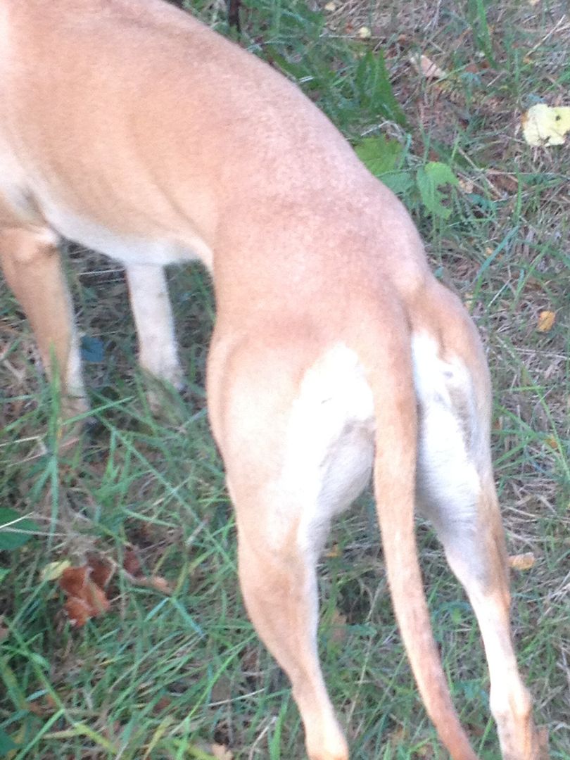 753D24E8-94F6-4104-BA1D-8317B540D435_zps