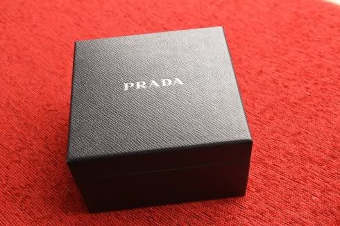 LG_Prada_30_1.jpg