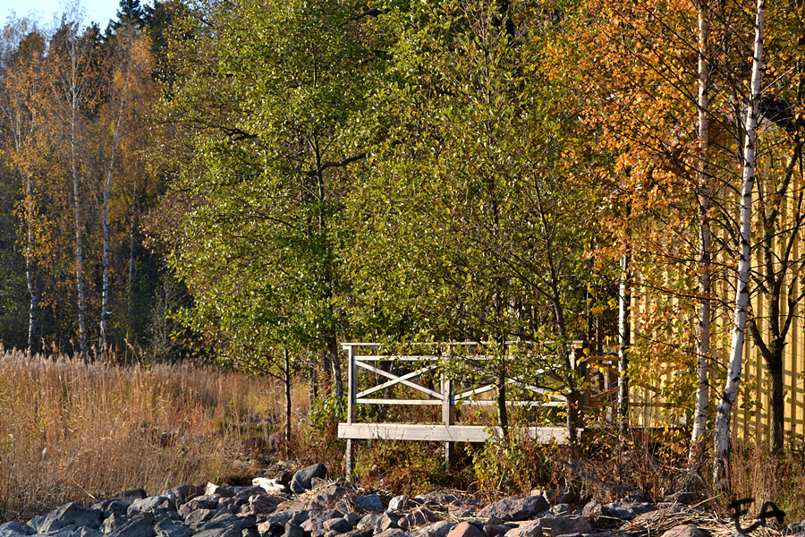 photo 002_3.png