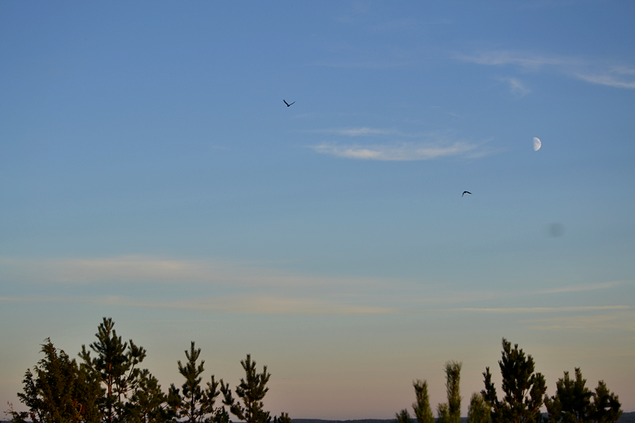 photo 004_2.png