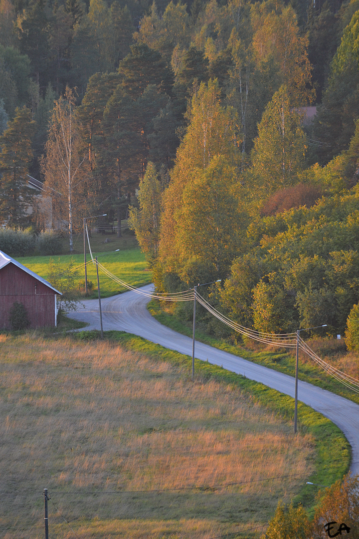 photo 005_2.png