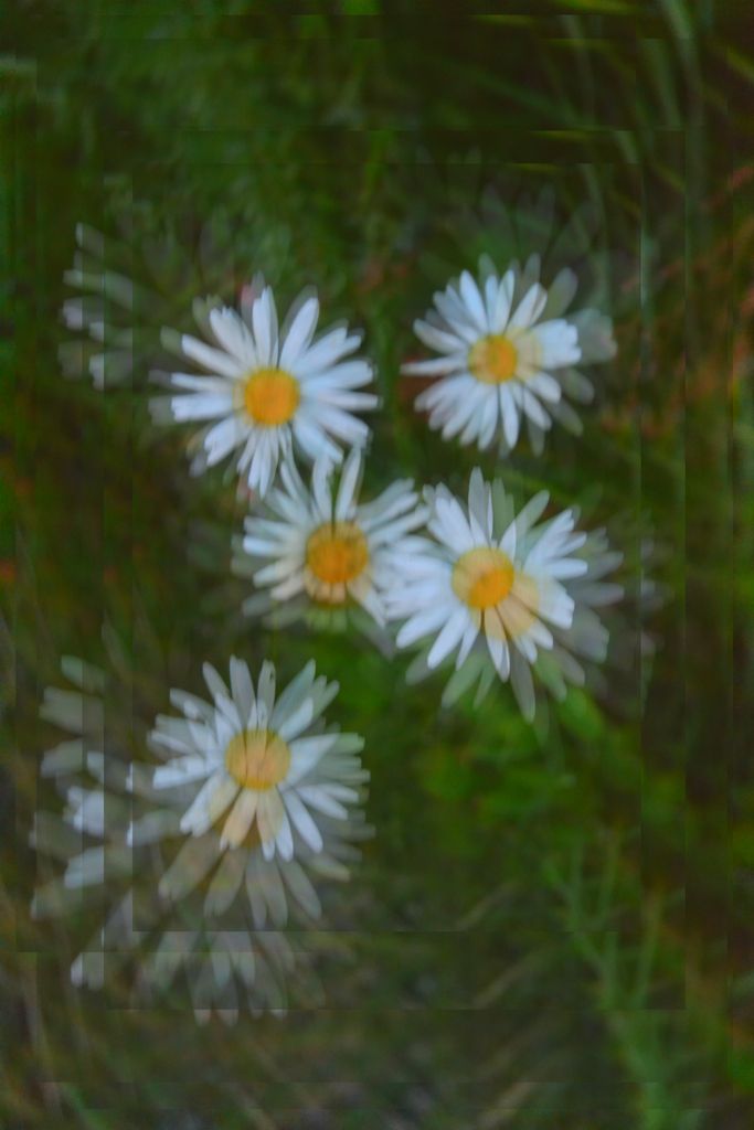 photo rndm1_zpslfazcnmj.jpg