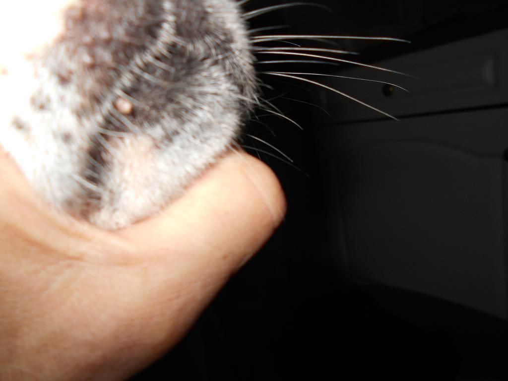 DSCN2946_zps8e6325a2.jpg